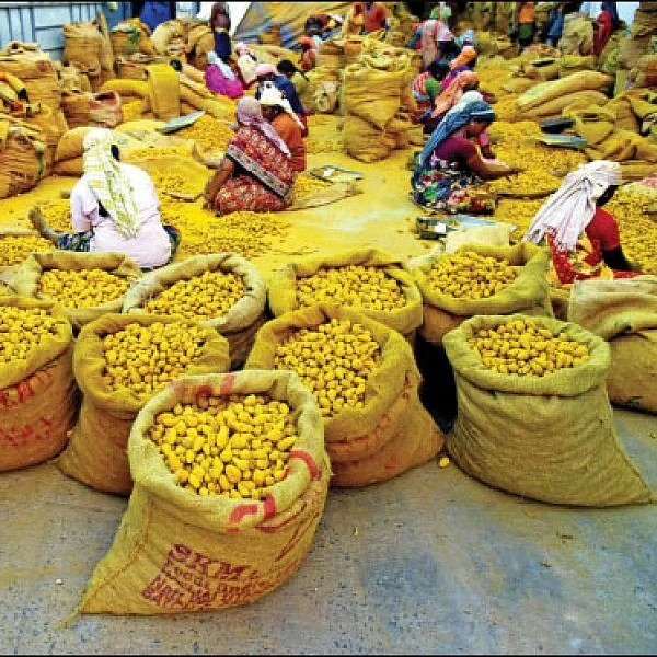 Agri Export for abundant income… Successful strategies! Part 8