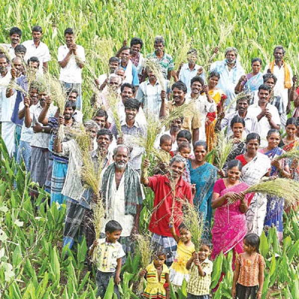 மாற்றுச் சந்தைக்கு மதிப்புக்கூட்டல் முக்கியம்! - விளையும் விலையும்! - 18