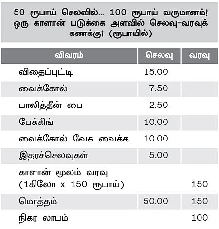 கலக்கலான வருமானம் கொடுக்கும் காளான் வளர்ப்பு!