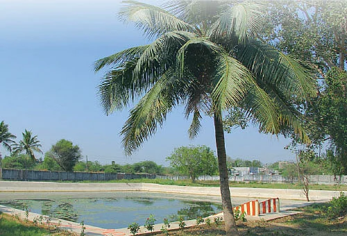 கயிலை... காலடி... காஞ்சி! - 16