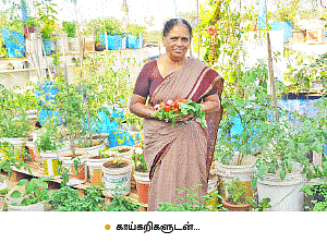 வீட்டுக்குள் விவசாயம்