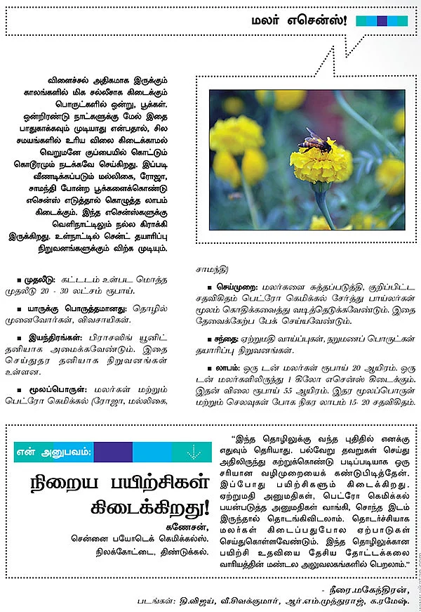 காலத்துக்கு ஏற்ற கலக்கல் தொழில்கள் !
