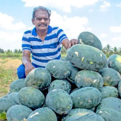 இயற்கை தர்பூசணி...