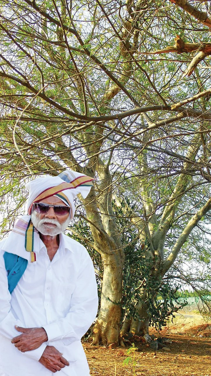 வாதாம் மரங்களே நீதிமன்றம்... பல்லி சகுனமே தீர்ப்பு... - இது நம்ம ஊரு நியாய கோர்ட்!