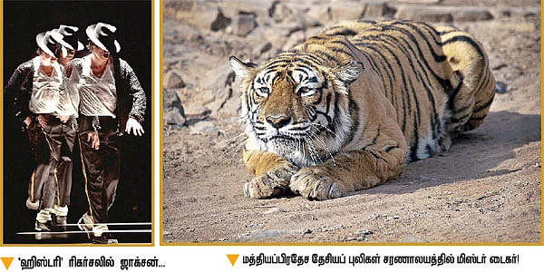 உலக அநீதிகளின் சாட்சி!