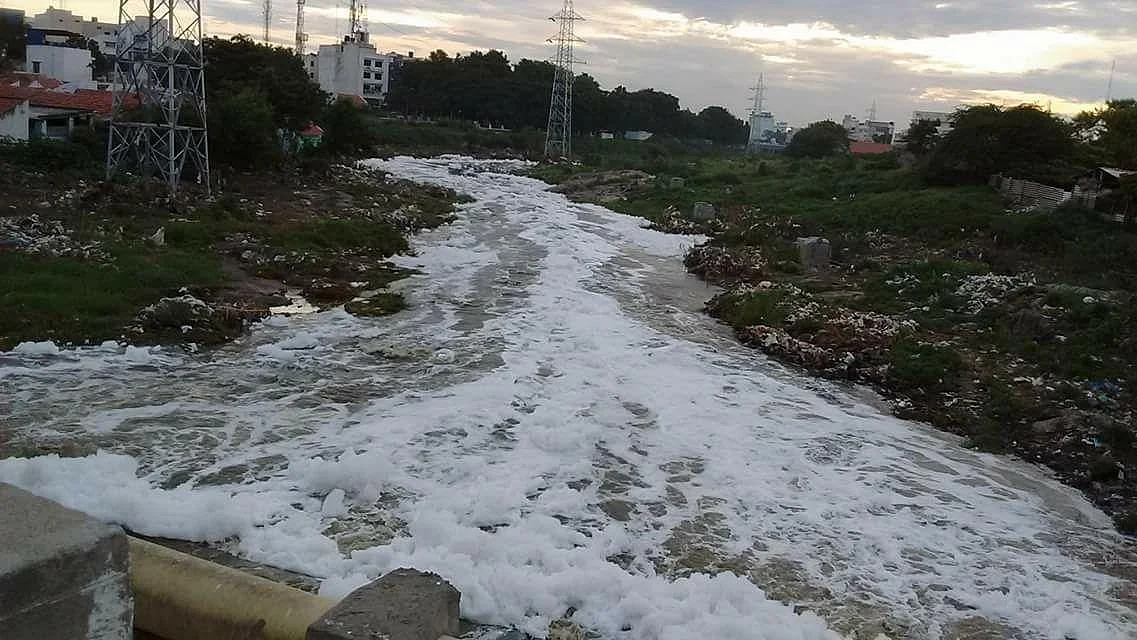 நொய்யலில் பொங்கிய நுரை - மாசுக் கட்டுப்பாட்டு அதிகாரிகள் ஆய்வு!