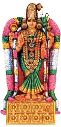 பொன் மழை பொழிந்தது!