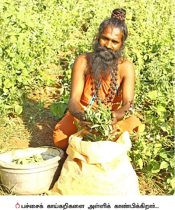 விடிஞ்சா பணம்... விவசாயச் சித்தரின் வெற்றிச் சூத்திரம்...