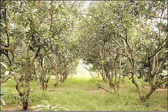 இறையியலோடு உழவியலும்...