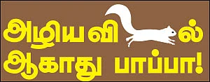 அழிய விடல் ஆகாது பாப்பா! - பறக்கும் ஜடை அணில்