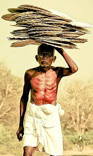 இன்னும் பிறக்காத எம் அடுத்த தலைமுறைக்கு ஒரு மன்னிப்பு கடிதம் #WhereismyGreenWorld