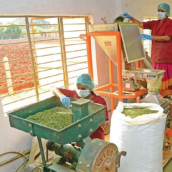 கொஞ்சம் ப்ளஸ்... நிறைய லாபம்! - முருங்கை மதிப்புக் கூட்டலில் முத்தான லாபம்!