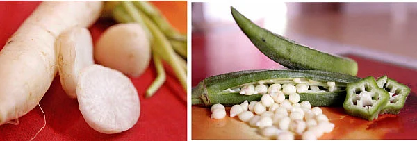 விந்தைகள் செய்யும் விதைகள்!