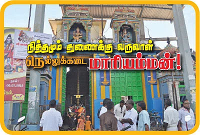 நித்தமும் துணைக்கு வருவாள் நெல்லுக்கடை மாரியம்மன்!