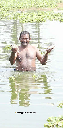 பணம் வளரும் பண்ணைக்குட்டை!