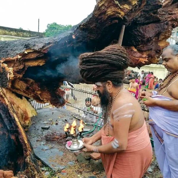 மினி மீல்ஸ்