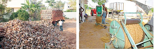 பணம் கொட்டும் தொழில்கள்: கயிறு மற்றும் கயிறுப் பொருட்கள்!