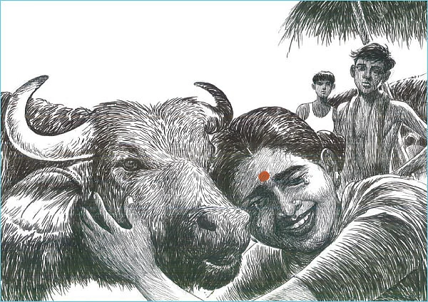 எருமைச் சீமாட்டி