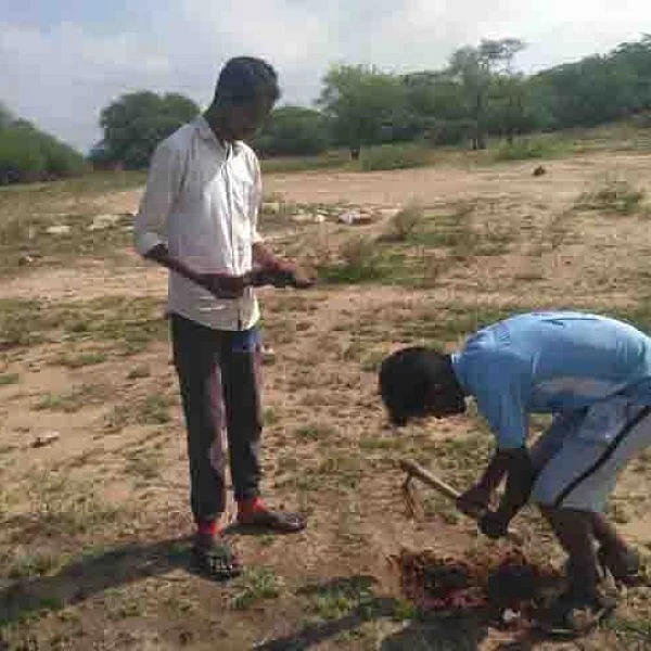 `நூறடிக்கு ஒரு பனை மரம்’ - கரூர் இளைஞர்களின் 'அசத்தல்' முயற்சி!