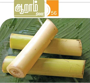 ஆறாம் திணை