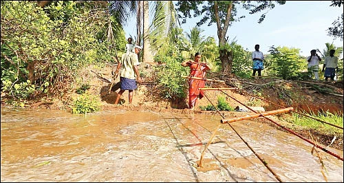ஏக்கருக்கு ரூ. 99,000... நம்மாழ்வார் கற்றுக்கொடுத்த நல்ல சாகுபடி!