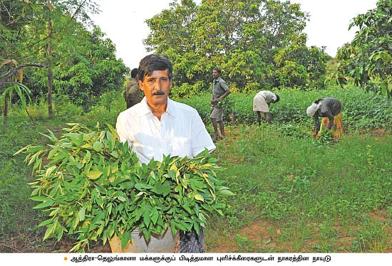 12 ஏக்கரில் 17 லட்சம் வருமானம்...