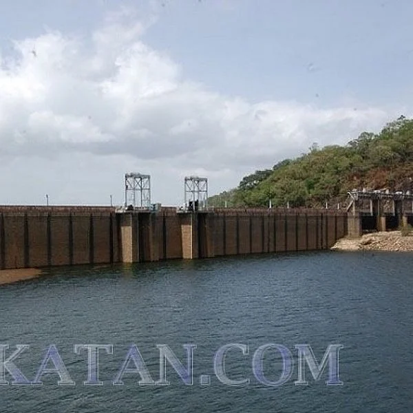 தொடர் கனமழையால் 100 அடியை எட்டிய சேர்வலாறு, அடவிநயினார் அணைகள்!