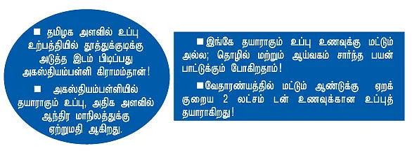 உப்பளத்தை உள்ளளவும் நினை!