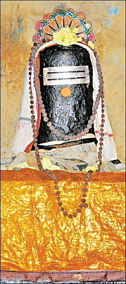 சிவம் தவம் தரிசனம்!