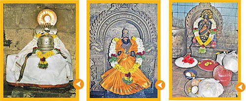 பொங்கு சனீஸ்வரருக்கு சிறப்பு பூஜை!