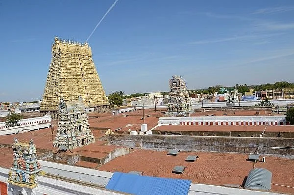 ஆடித் தபசு திருவிழா... சங்கரநாராயண சுவாமி கோயிலில் தேரோட்ட ஏற்பாடுகள் தீவிரம்!