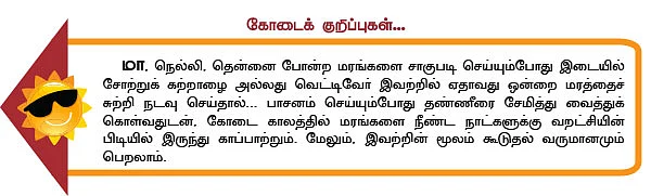 மூலிகை வனம் - அம்மான் பச்சரிசி...
