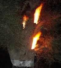 பா.ம.க.வினர் இன்றும் வன்முறை: வட மாவட்டங்களில் பதற்றம் (படங்கள்)