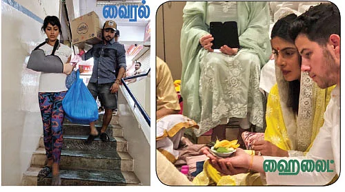 மிஸ்டர் மியாவ்