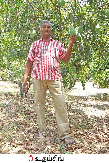 20 மரங்கள்... ரூ 1,00,000 லாபம்... கெத்தமார்.... சீரி... ருமானி...