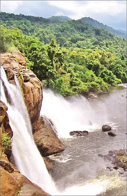 விகடன் சாய்ஸ்