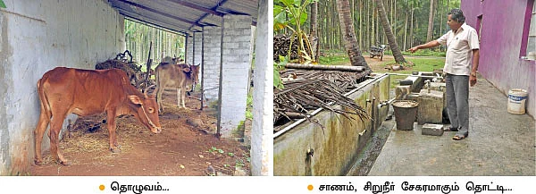 ஆண்டுக்கு ரூ 5 லட்சம்... பாக்கு, தென்னை, மஞ்சள், நெல்...