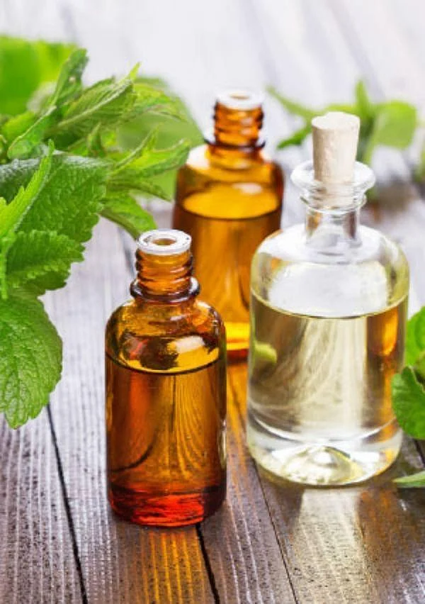 முடிகொட்டுதல், நரைமுடியைப் போக்கும் 20 பொருள்கள் கலந்த மூலிகை எண்ணெய் வீட்டிலேயே செய்யலாம்!