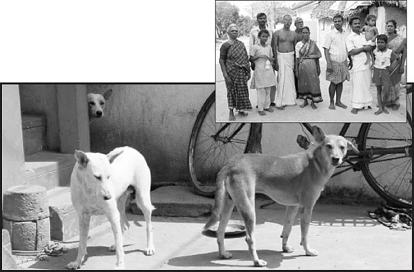 ''மனுஷ உயிரு மலிவாப் போயிருச்சா..?''