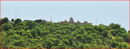 தோஷங்கள் நீக்கும் புரட்டாசி வழிபாடு!