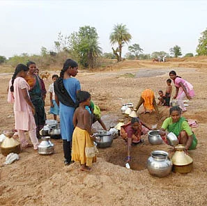 100 ஏக்கர் ஆரண்யா வனம்: 'தனி ஒருவன்' உருவாக்கிய காடு! #WhereIsMyGreenWorld