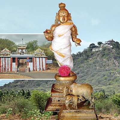 கோமாதாவைக் காக்கும் கோபிநாதா...!