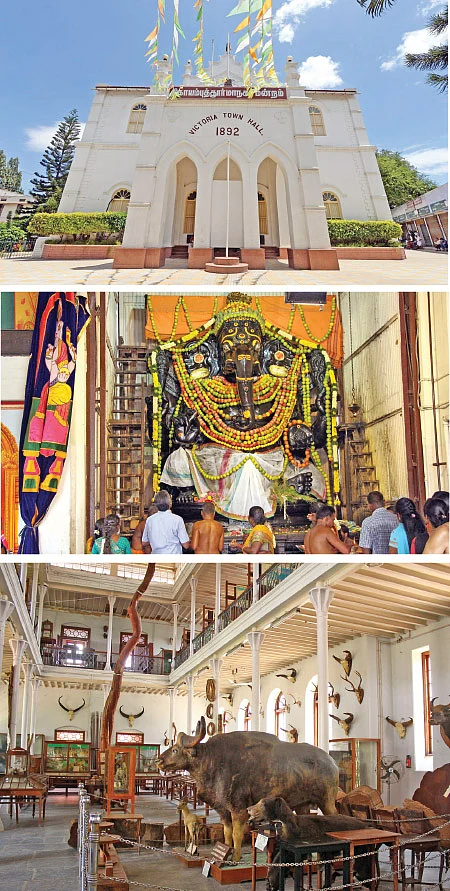 கெத்தா முந்துது... முன்னேறுது! கோயம்புத்தூர்