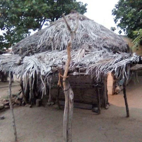 குடிசை