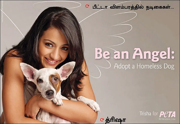 பீட்டாவின் பின்னணி என்ன?