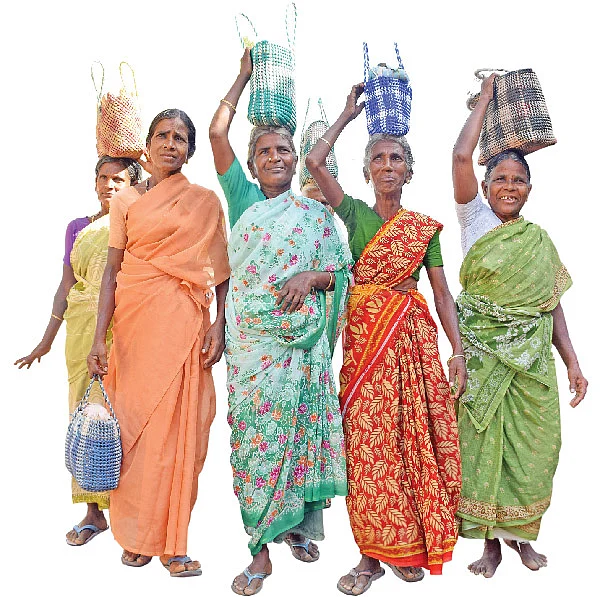 தென் இந்தியாவின் நெற்களஞ்சியம் இன்று...