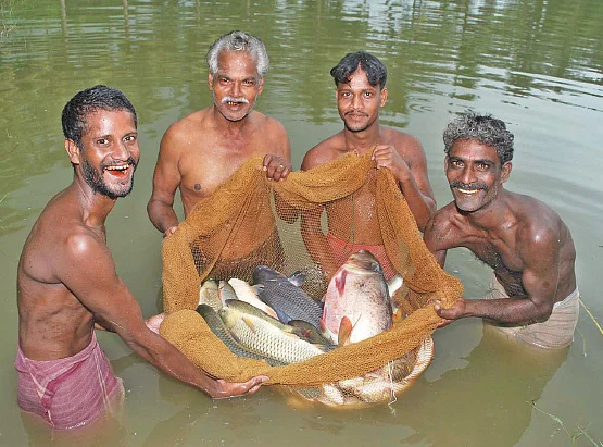 மீன்கள் ஜாக்கிரதை!