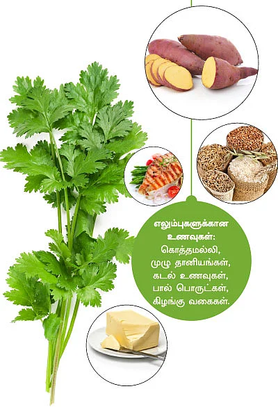 15 பாடிகாட்ஸ்! உச்சி முதல் உள்ளங்கால் வரை...