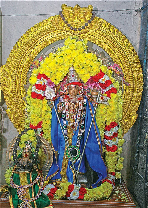 பாகை மேவிய தோகை மயில் முருகன்!