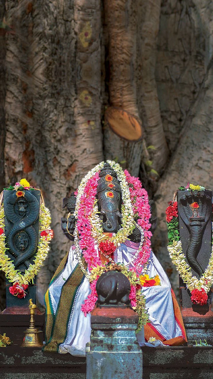 யோக வாழ்வு தரும் ‘5’ பிள்ளையார்கள்!